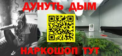 apvp Канаш